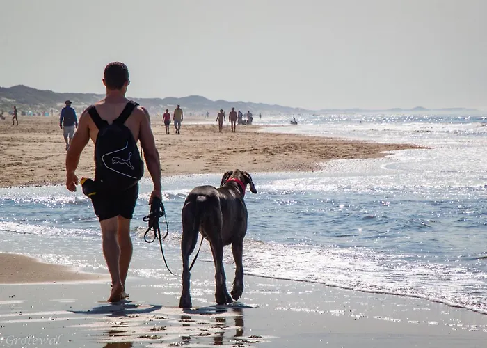 Keizerskroon 27 יוליאנאדורפ